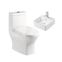 Middle East Vitreous China Dual Flush Anglo Indian Design Sink Toilet