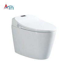 Sanitary Wares Bathroom Ceramic One Piece Electric Intelligent Toilet With Warm Seat Airdrying