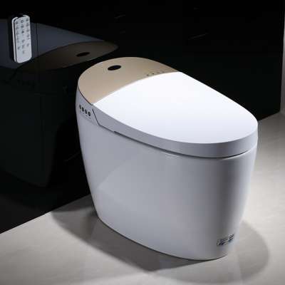 European new round smart toilet intelligent